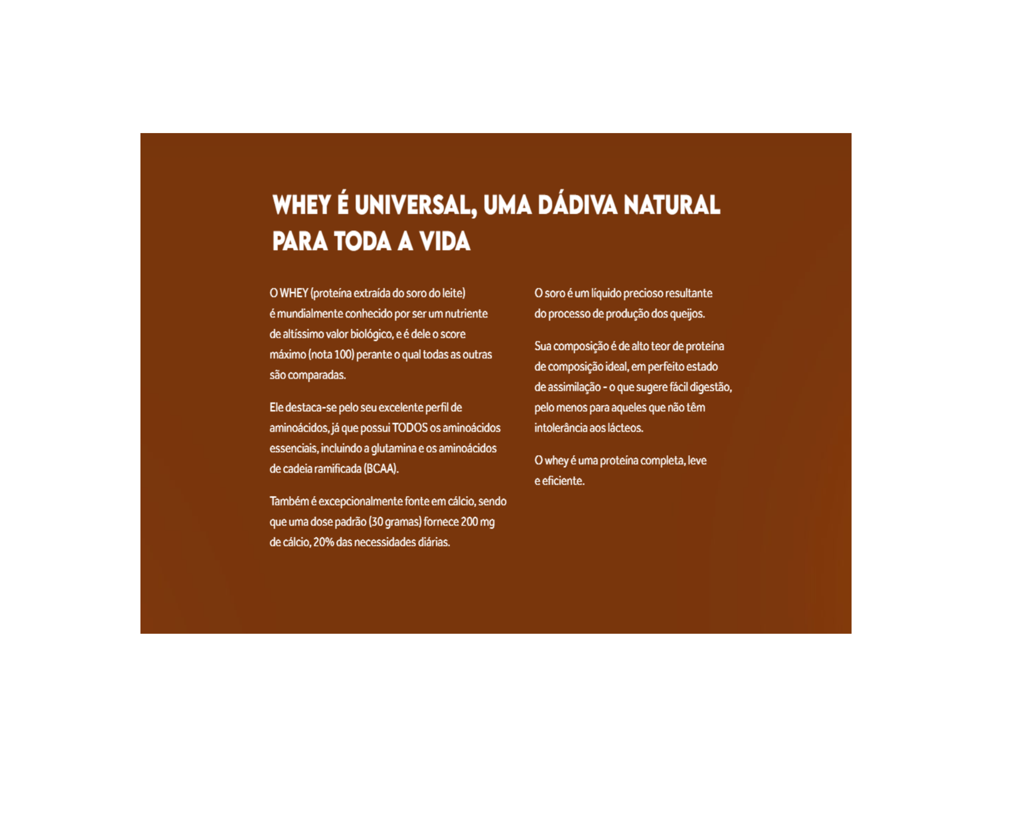 Grassfed Whey Protein Chocolate Belga Puravida Em Pó 450 g Puravida - Image 3