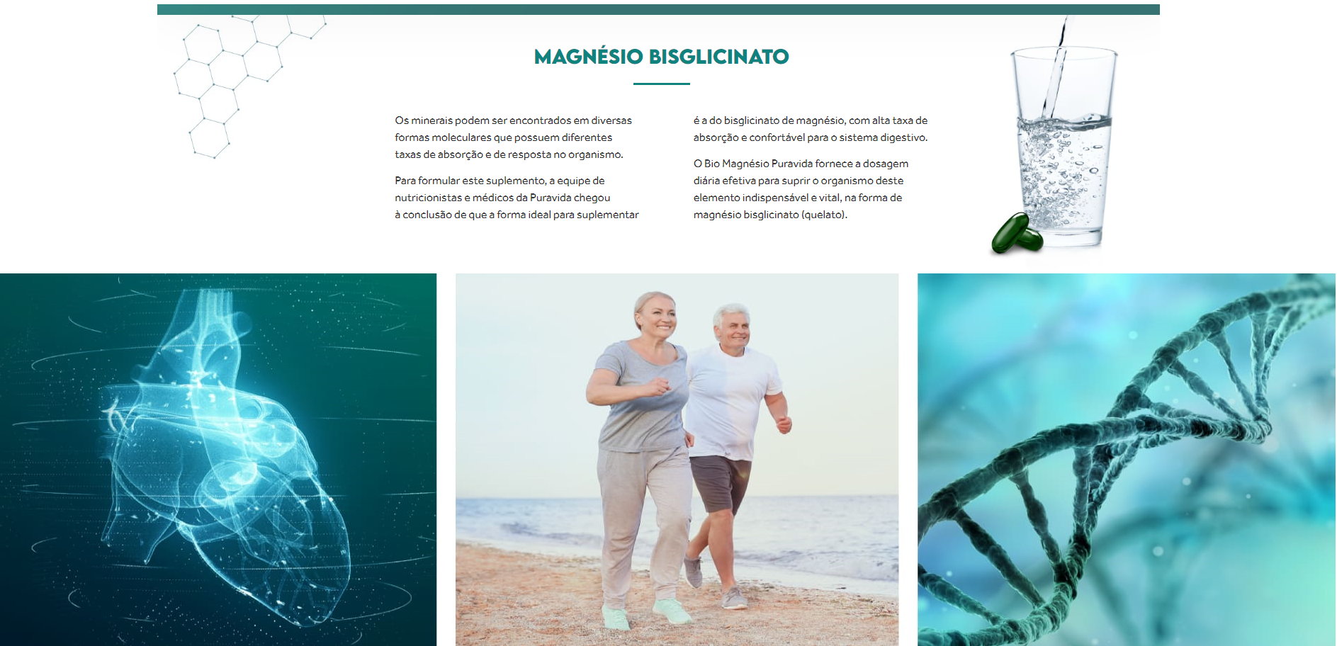 Bio Mag Magnésio Quelato 60 Cápsulas Puravida - Image 4
